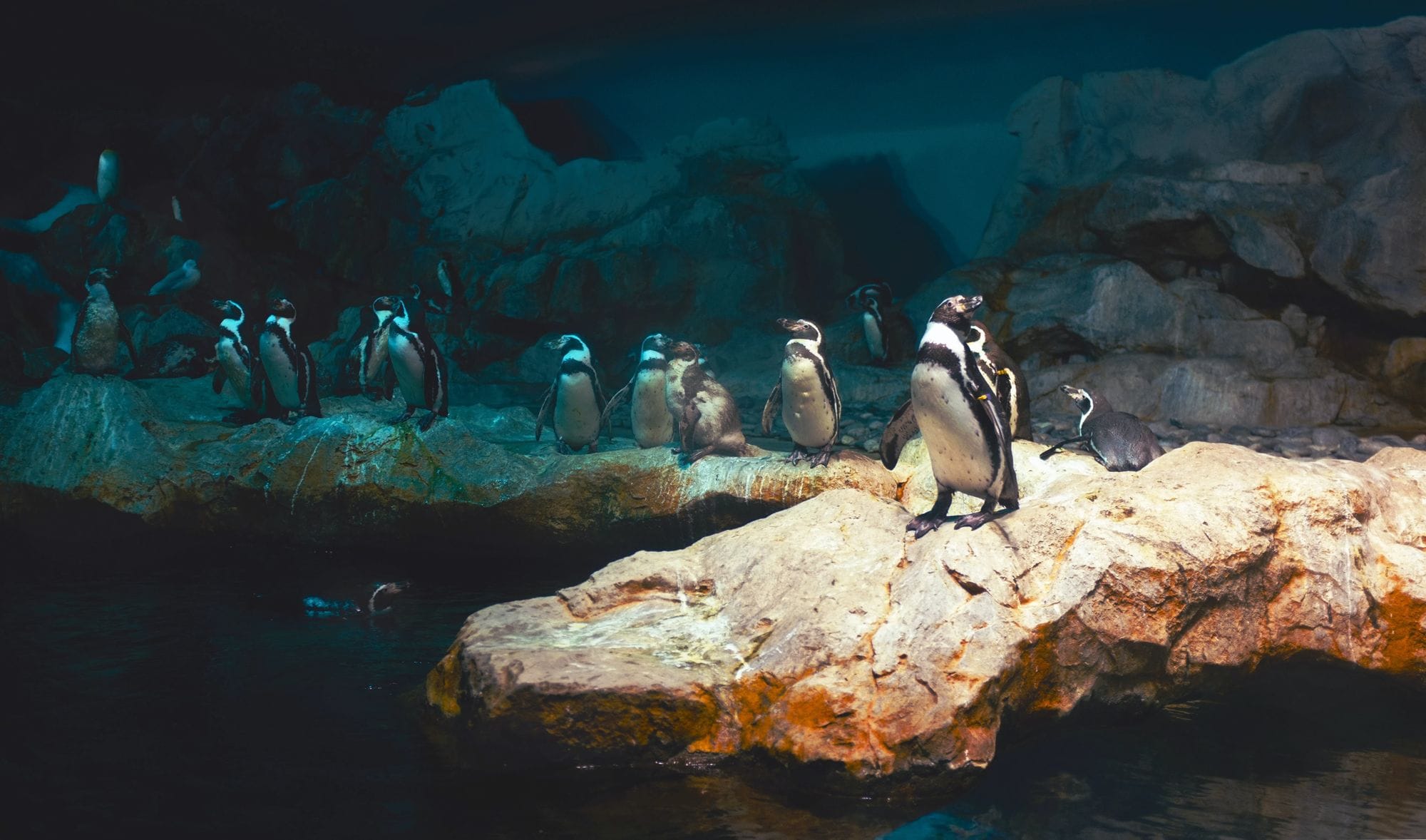 Understanding Linux File Permissions